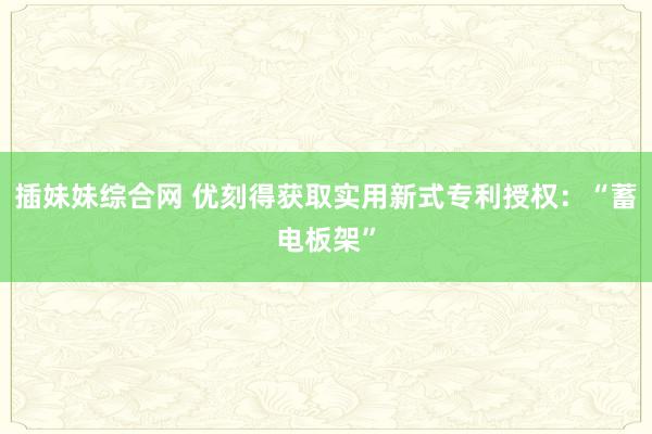 插妹妹综合网 优刻得获取实用新式专利授权：“蓄电板架”