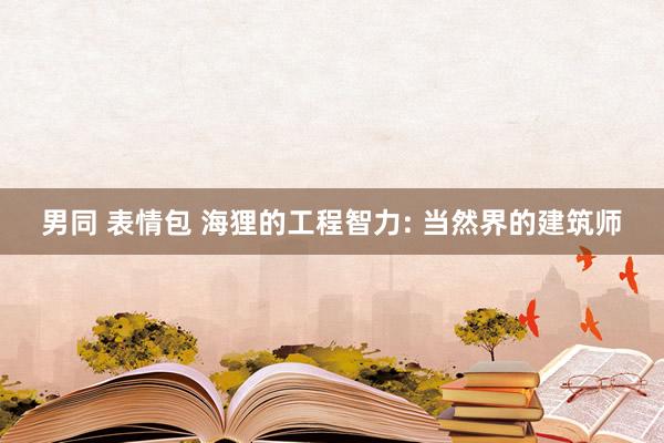 男同 表情包 海狸的工程智力: 当然界的建筑师