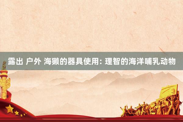 露出 户外 海獭的器具使用: 理智的海洋哺乳动物