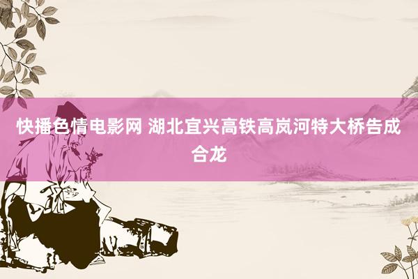 快播色情电影网 湖北宜兴高铁高岚河特大桥告成合龙