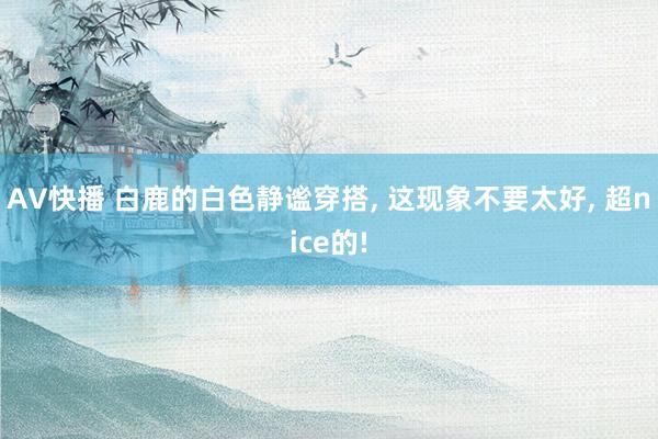 AV快播 白鹿的白色静谧穿搭， 这现象不要太好， 超nice的!