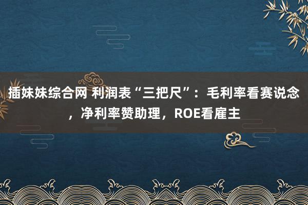 插妹妹综合网 利润表“三把尺”：毛利率看赛说念，净利率赞助理，ROE看雇主
