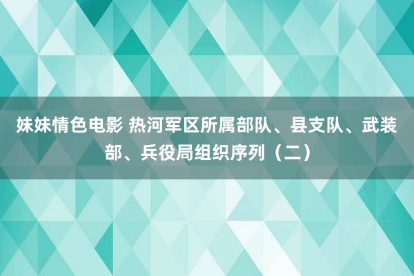 妹妹情色电影 热河军区所属部队、县支队、武装部、兵役局组织序列（二）